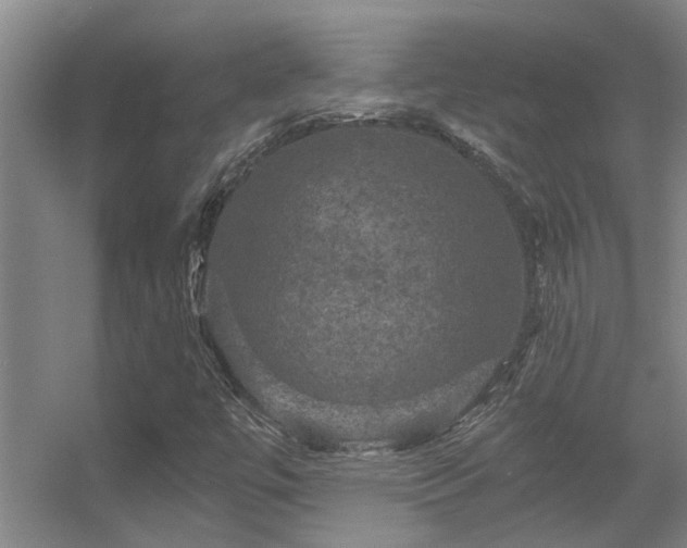 X0000056001447200508221310