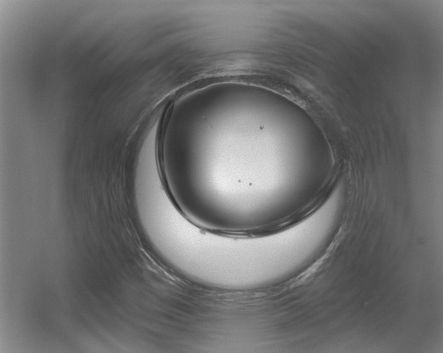 X0000056001449200508221310