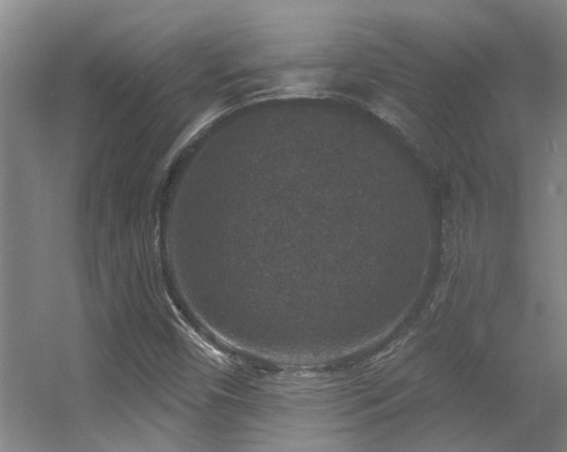 X0000056001450200508221310