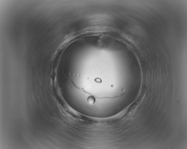 X0000056001451200508221310