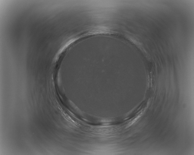 X0000056001453200508221310