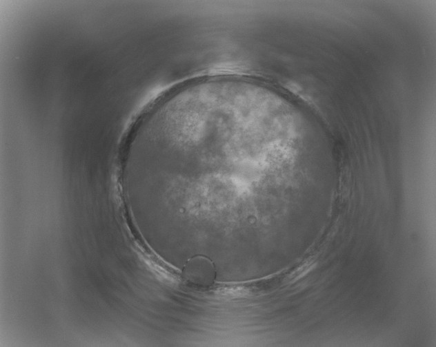 X0000056001454200508221310