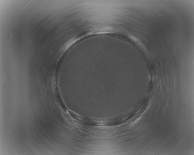 X0000056001457200508221310