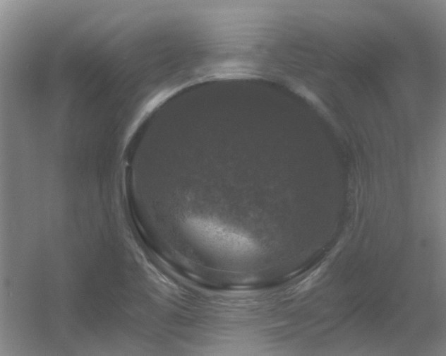 X0000056001461200508221310