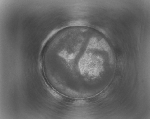 X0000056001462200508221310