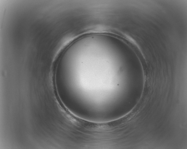 X0000056001464200508221310