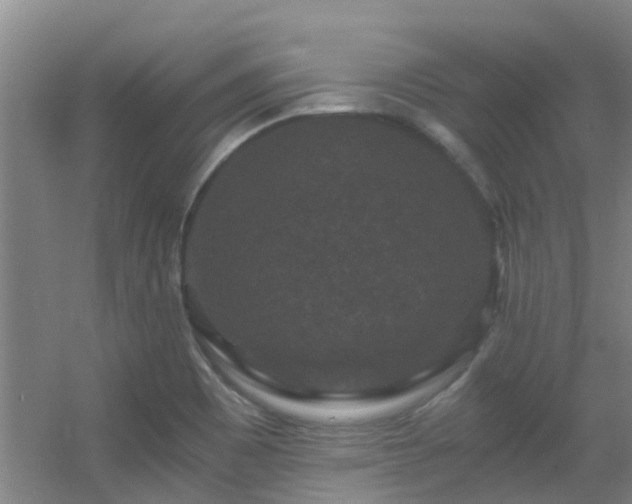 X0000056001465200508221310