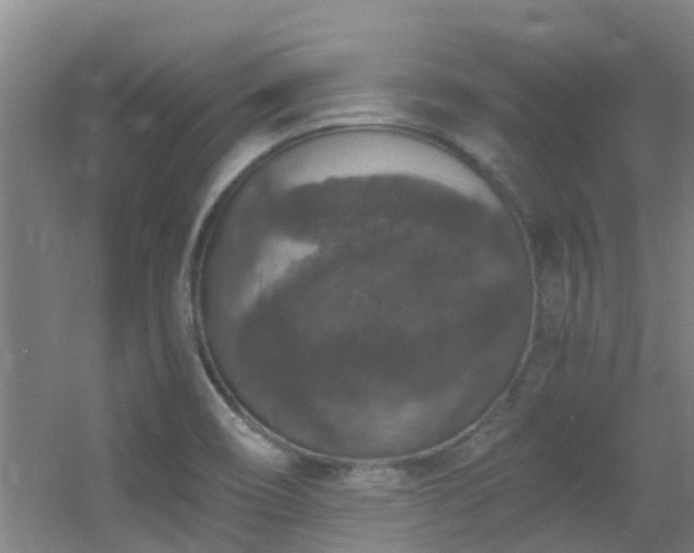 X0000056001466200508221310