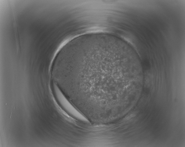 X0000056001467200508221310