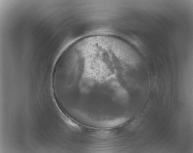 X0000056001470200508221310