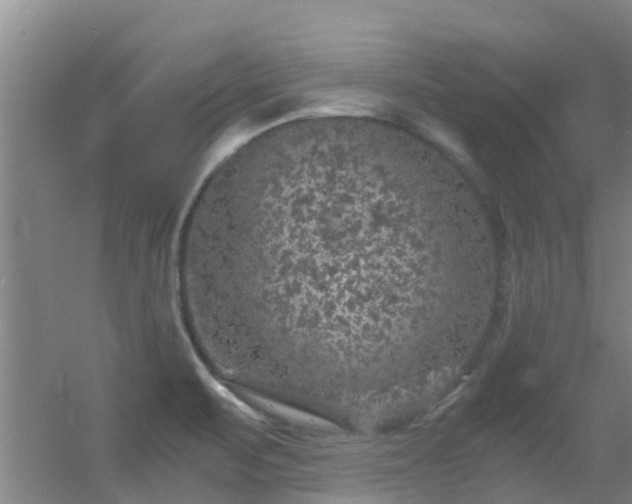 X0000056001471200508221310