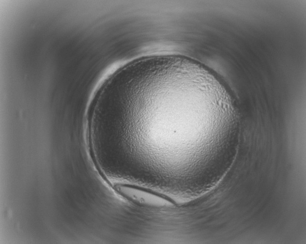 X0000056001472200508221310