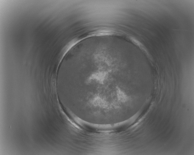 X0000056001473200508221310