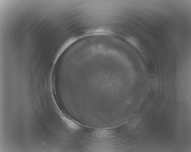 X0000056001474200508221310