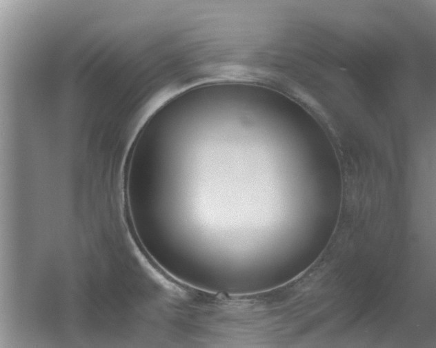 X0000056001479200508221310