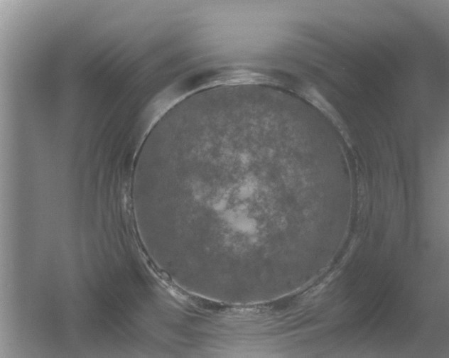 X0000056001481200508221310