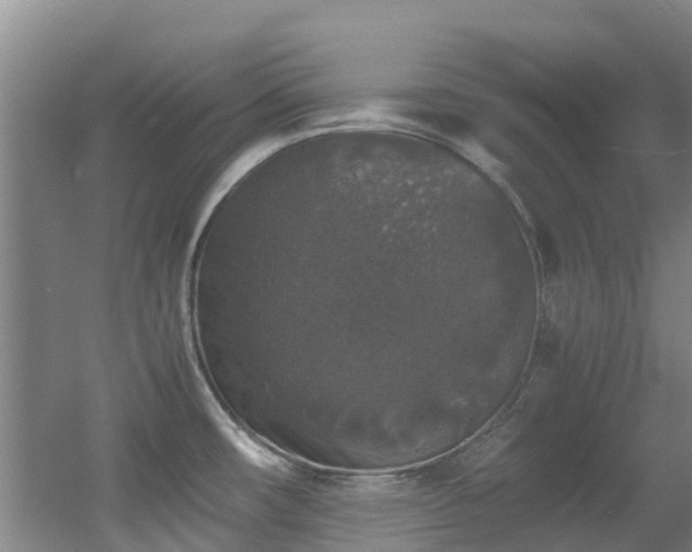 X0000056001482200508221310