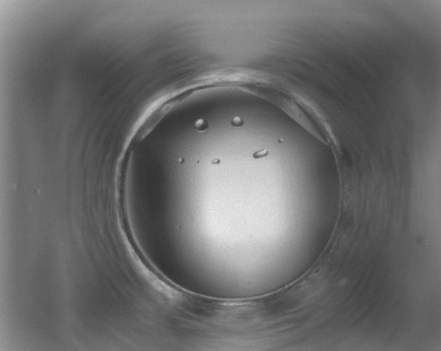 X0000056001483200508221310