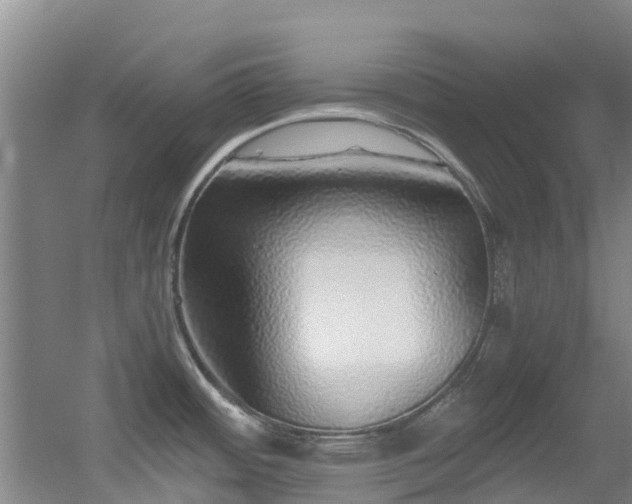 X0000056001484200508221310