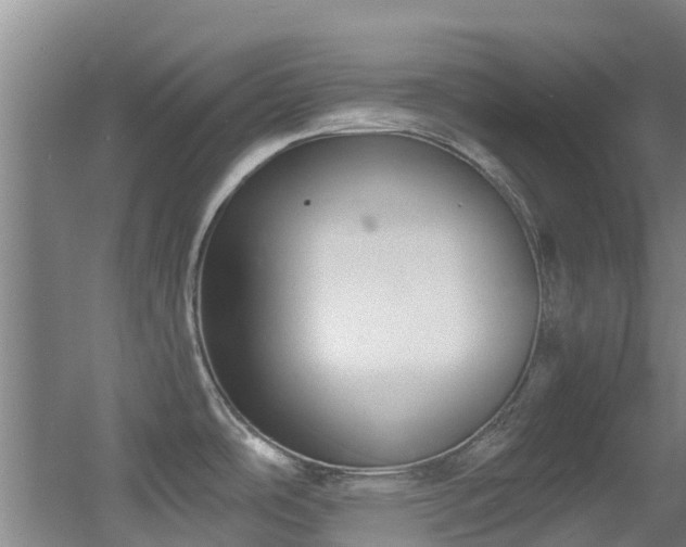 X0000056001486200508221310