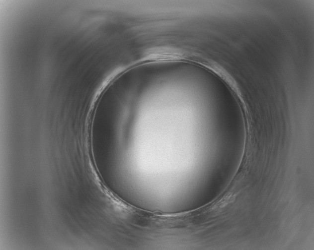 X0000056001488200508221310