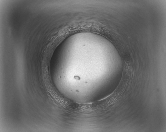 X0000056001489200508221309