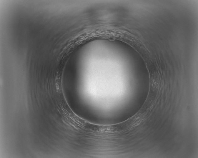 X0000056001490200508221309