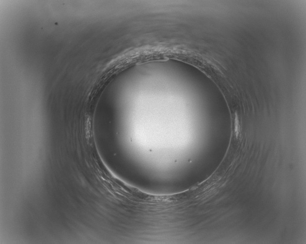 X0000056001492200508221309