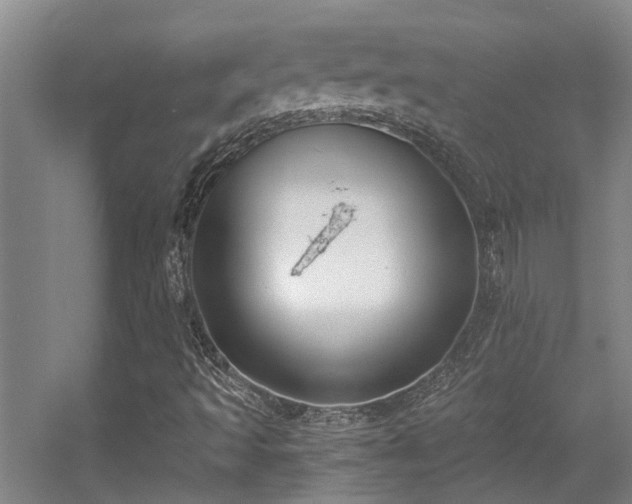 X0000056001493200508221309