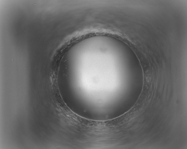 X0000056001495200508221309