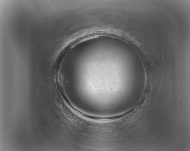 X0000056001496200508221309