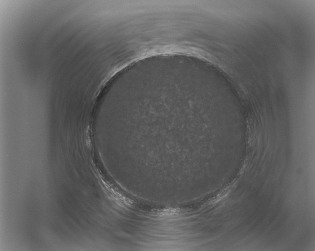 X0000056001497200508221309