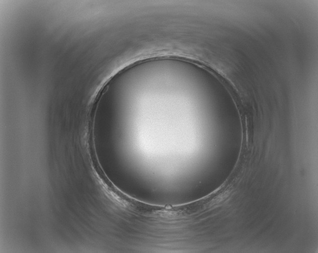 X0000056001500200508221309