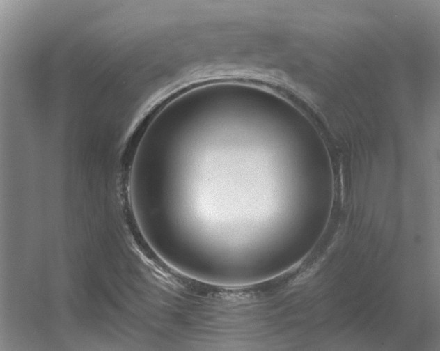 X0000056001501200508221309