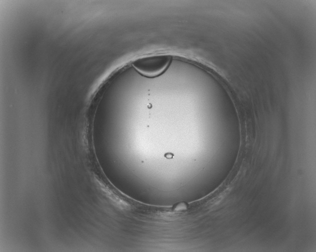 X0000056001502200508221309