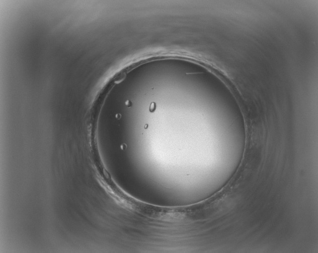 X0000056001503200508221309