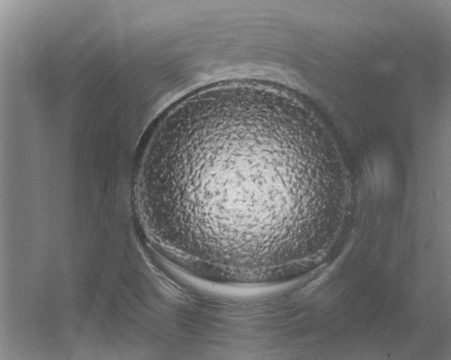 X0000056001505200508221309