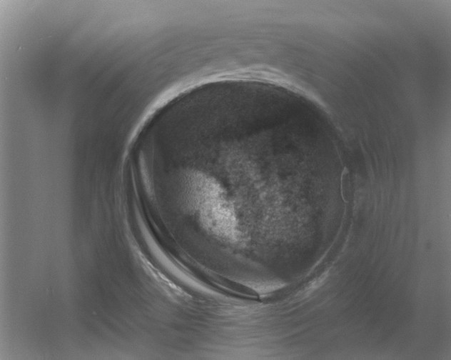 X0000056001506200508221309