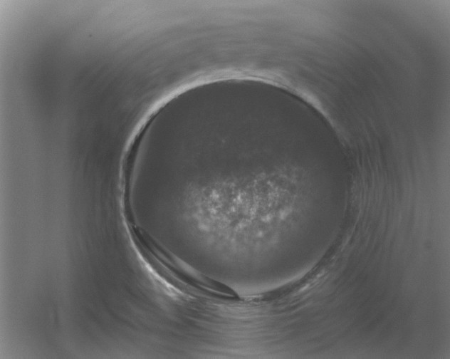 X0000056001508200508221309