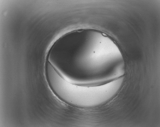 X0000056001512200508221309