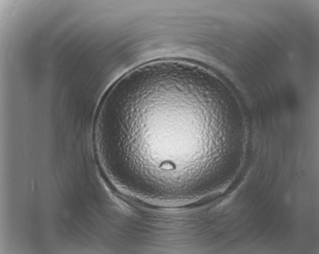 X0000056001513200508221309