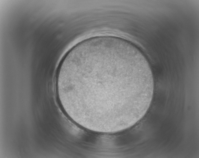 X0000056001514200508221309