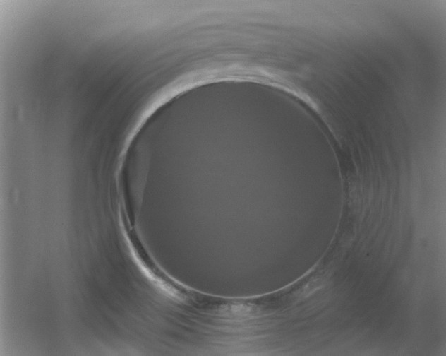 X0000056001515200508221309