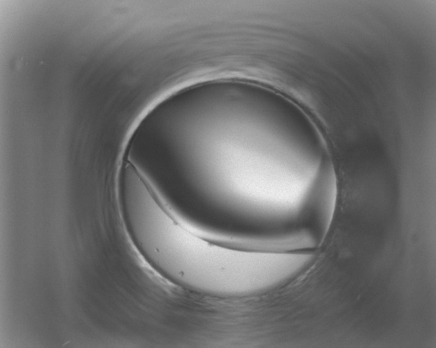 X0000056001516200508221309