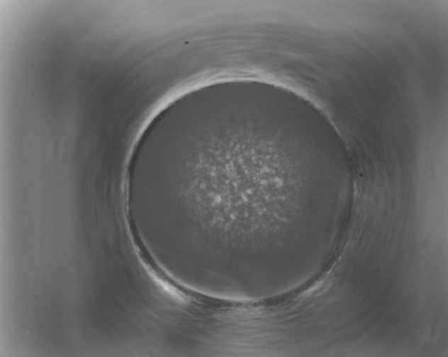 X0000056001519200508221309