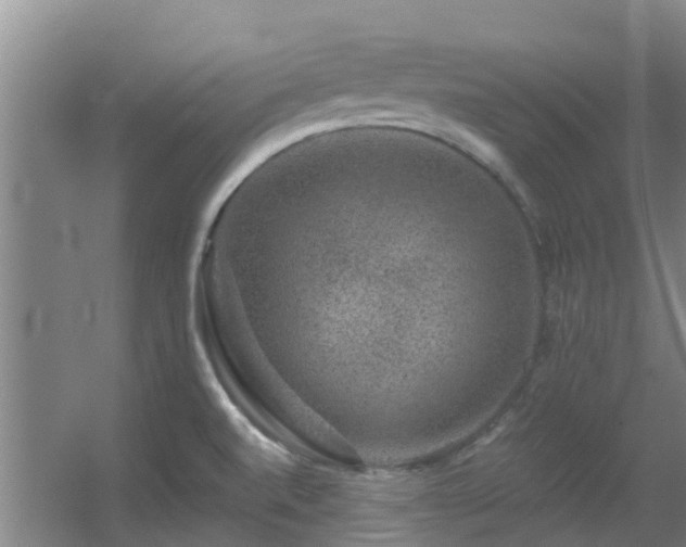 X0000056001520200508221309