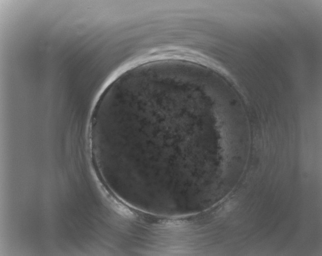 X0000056001522200508221309