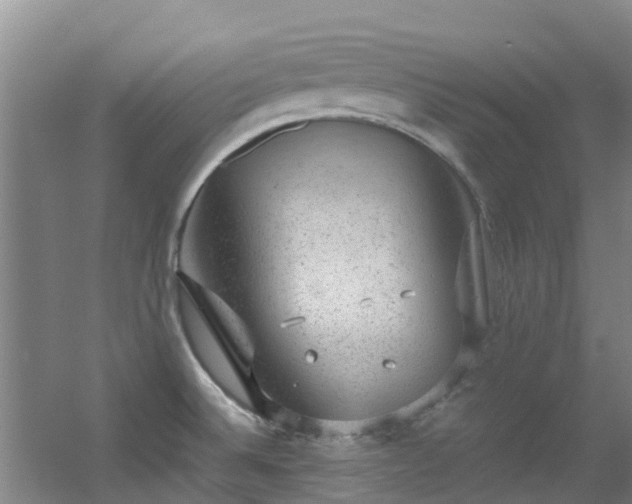 X0000056001524200508221309