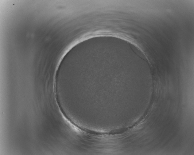 X0000056001527200508221309