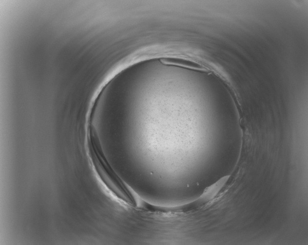 X0000056001528200508221309